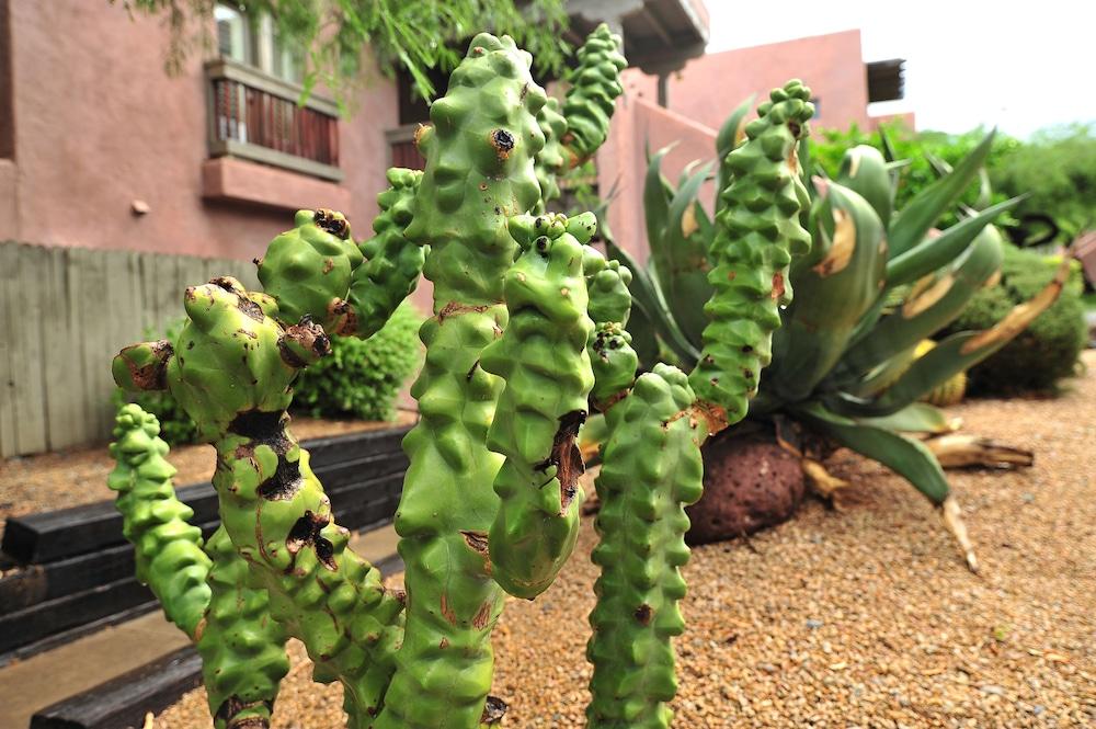 Hilton Vacation Club Rancho Manana Hotell Cave Creek Exteriör bild