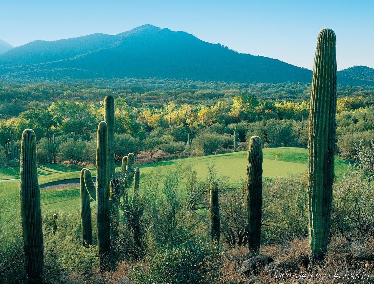 Hilton Vacation Club Rancho Manana Hotell Cave Creek Exteriör bild